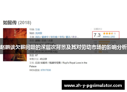 赵鹏谈欠薪问题的深层次背景及其对劳动市场的影响分析 赵鹏谈欠薪问题的深层次背景及其对劳动市场的影响分析